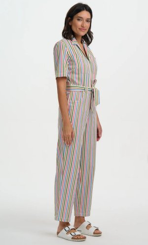 Mono rayas de colores