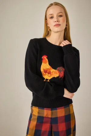 Jersey Gallo