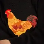 Jersey Gallo