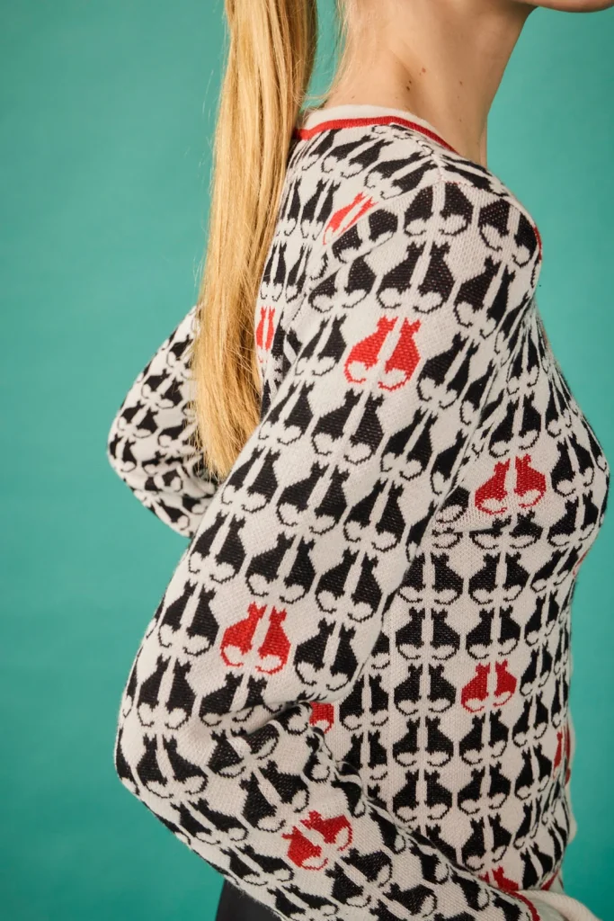 Rebeca gato rojo